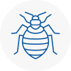 Bed Bug Extermination In Wealdstone