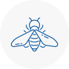 Bee Nest Removal Wealdstone