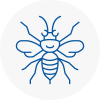 Wealdstone Hornet Nest Removals