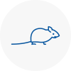 Mice Exterminators In Wealdstone