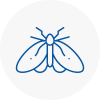 Moth Control Specialists In Wealdstone