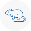 Rat Control Wealdstone