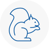 Wealdstone Rodent Removals