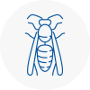 Wealdstone Wasp Nest Removal